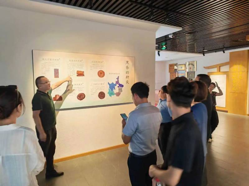 湖北農(nóng)業(yè)科技領(lǐng)軍企業(yè)代表團到訪 共謀茶產(chǎn)業(yè)智能化發(fā)展新篇章