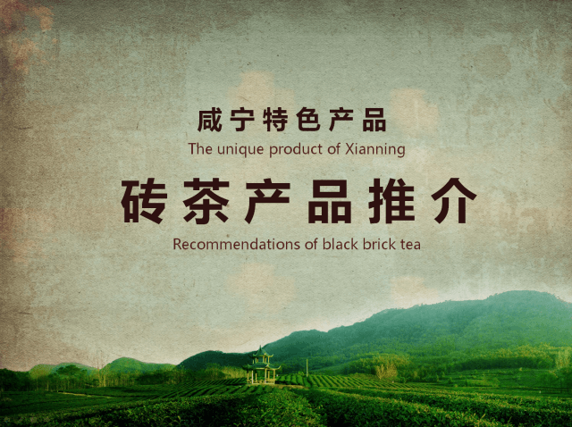 青磚茶：共同走進(jìn)東南亞！