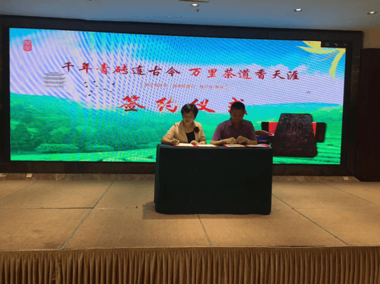 趙李橋茶廠博州推介 簽訂300萬訂單