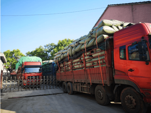 趙李橋茶廠，大暑日迎來開秤日??！