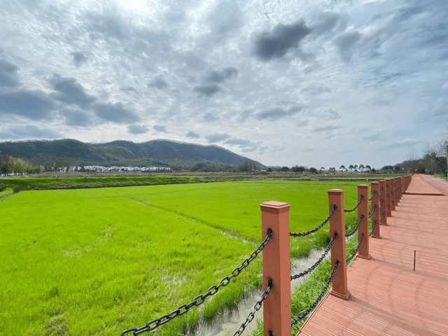 春暖花開，邀你一起品茶賞春