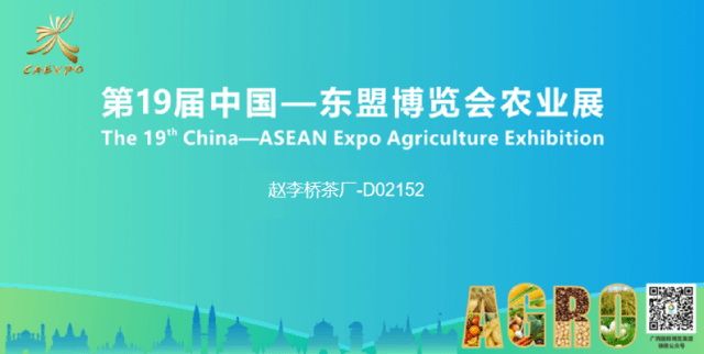 初聞茶語香，又見“川”字茶 —趙李橋茶廠青（米）磚茶亮相東盟博覽會